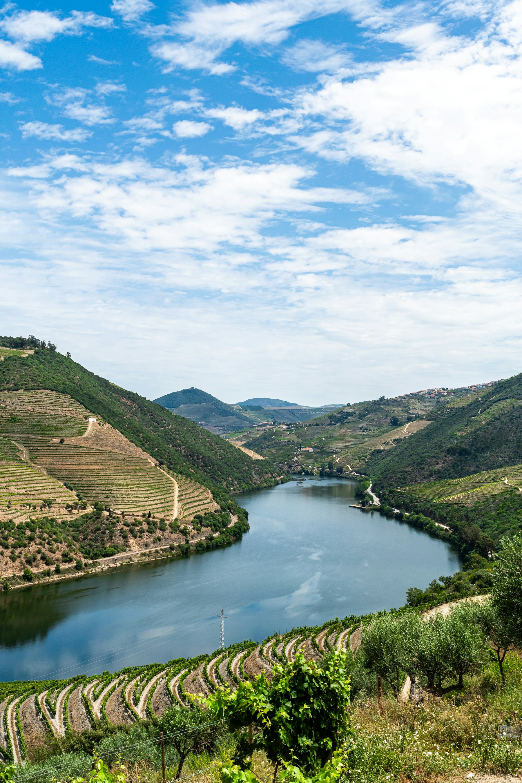 The Douro River winding between terraced vineyards in Portugal