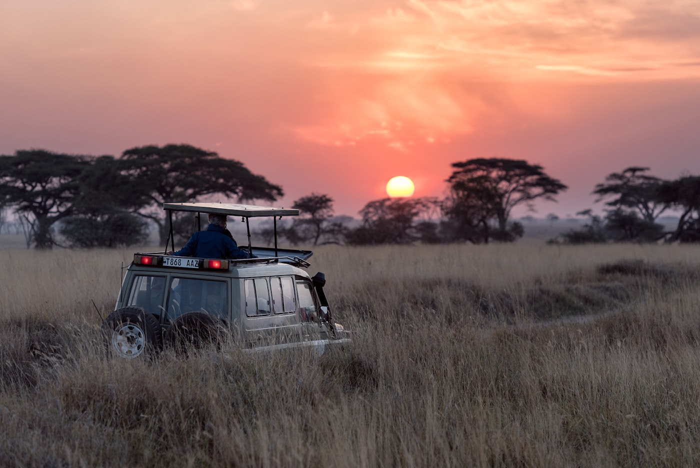 Safari vehicle crossing the Serengeti at sunset